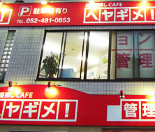 �p�l���Ŕ@