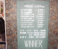 �p�l���Ŕ@